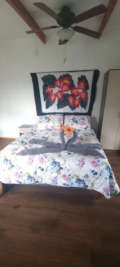 Апартаменти Hostal Henua Roa 2 Анґа-Роа Екстер'єр фото
